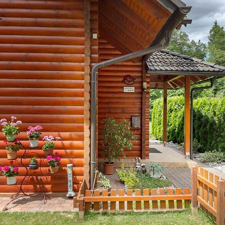 Apartma Metka Medvode Exteriör bild