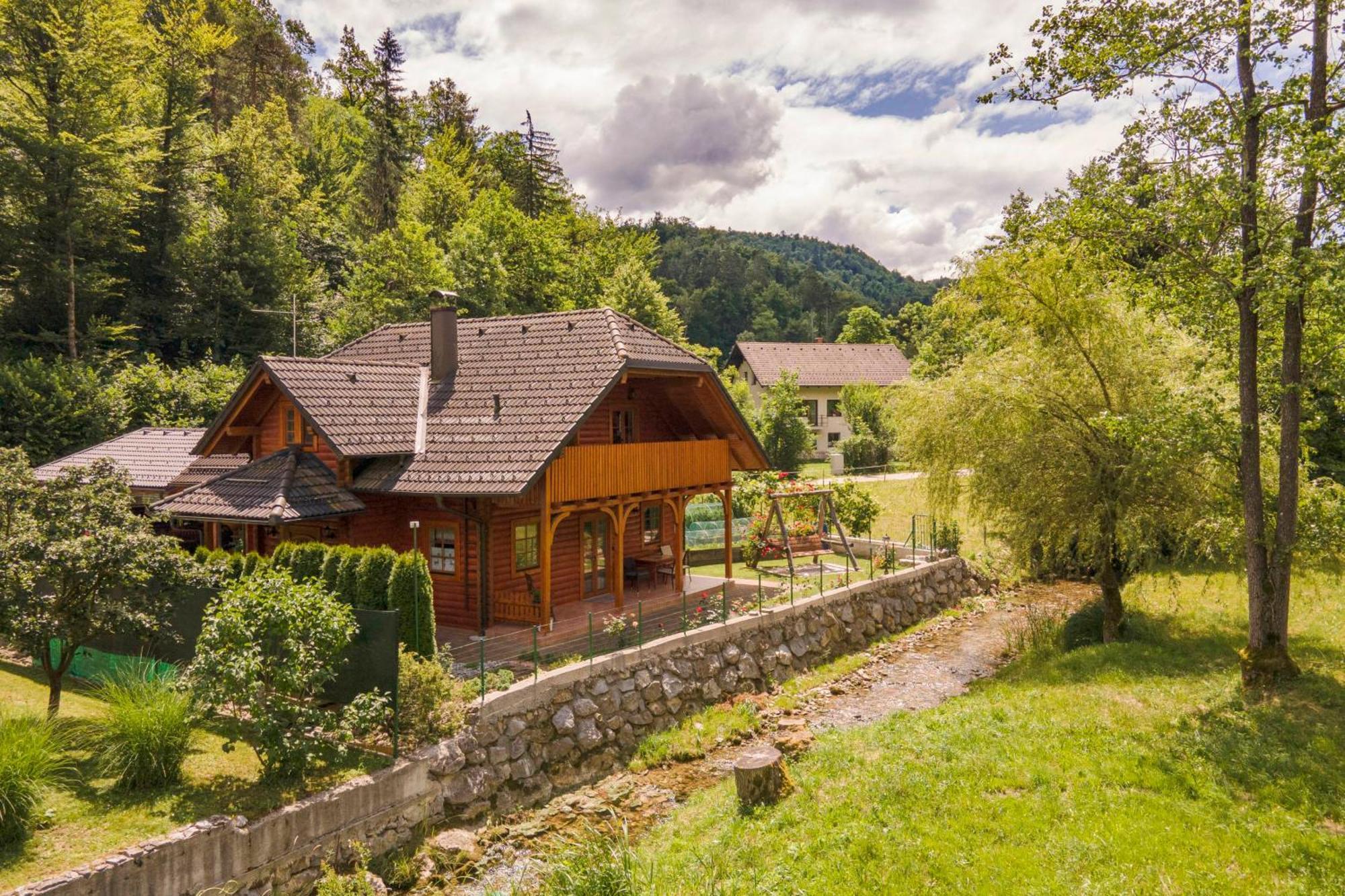 Apartma Metka Medvode Exteriör bild