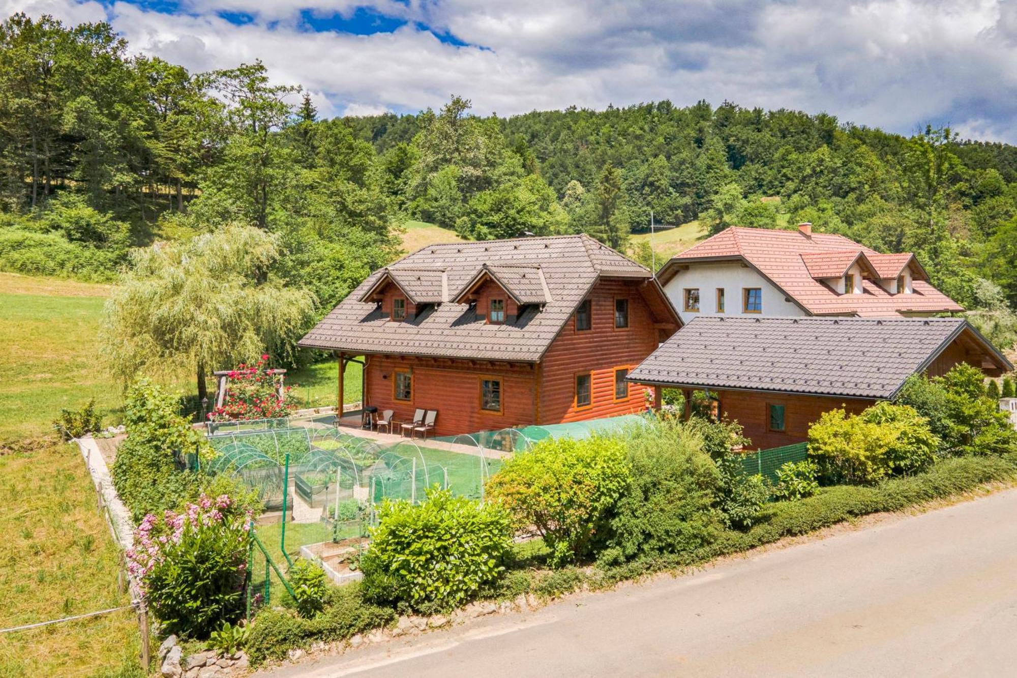 Apartma Metka Medvode Exteriör bild